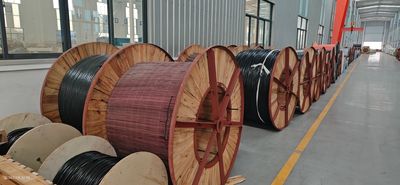 Shandong Jinyu Cable Co., Ltd. производственная линия производителя